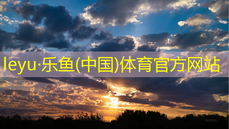 楼梯踏步机健身器材