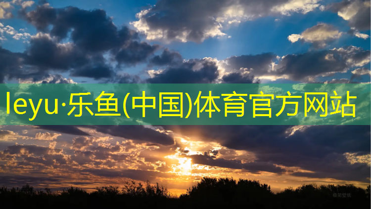 塑胶跑道保养机